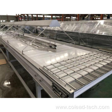 Lamp selecting conveyor belt for dates